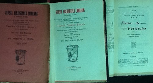 REVISTA BIBLIOGRÁFICA CAMILIANA