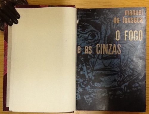 O FOGO E AS CINZAS
