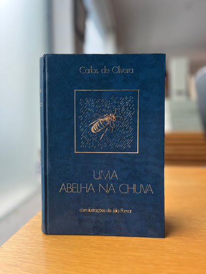 UMA ABELHA NA CHUVA