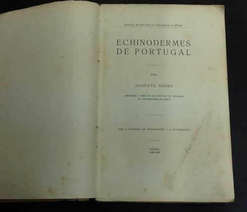 ECHINODERMES DE PORTUGAL