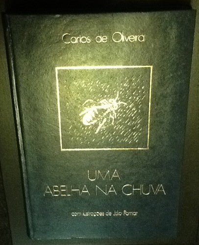 UMA ABELHA NA CHUVA