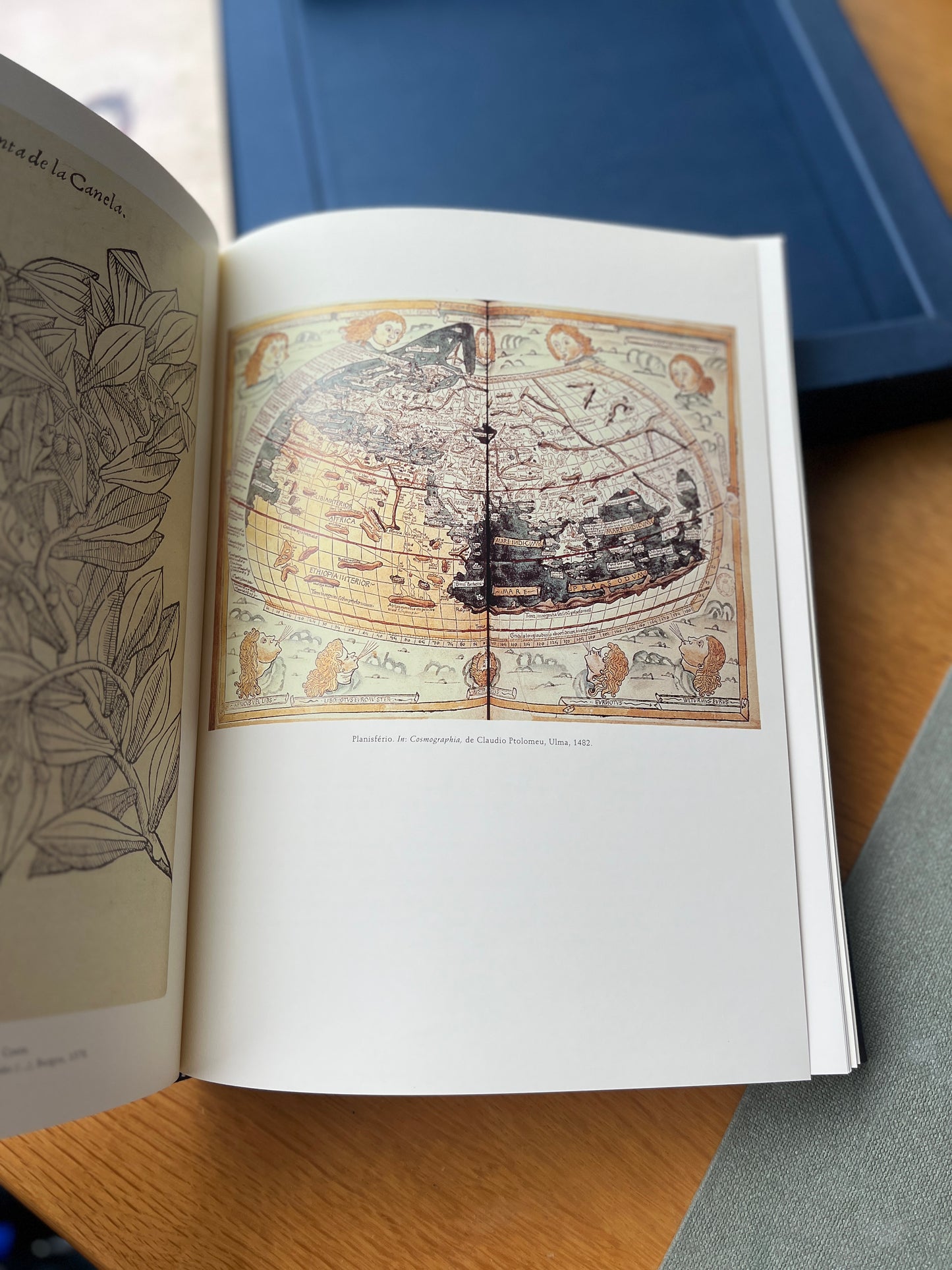 TRATADO DE TORDESILHAS