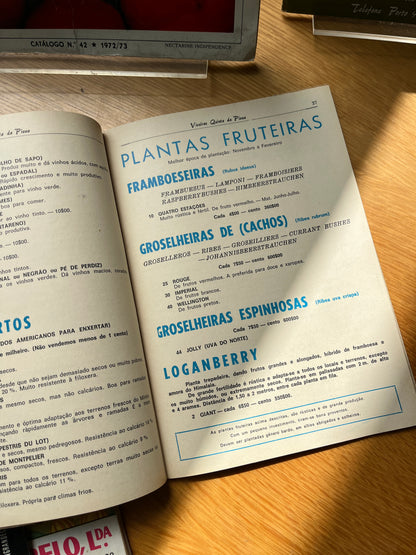 LOTE CATÁLOGOS DE VIVEIROS E FRUTA