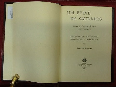 UM FEIXE DE SAUDADES