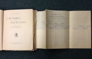 O " REI FORMOSO " E A " FLOR DE ALTURA "