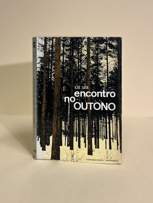 ENCONTRO NO OUTONO