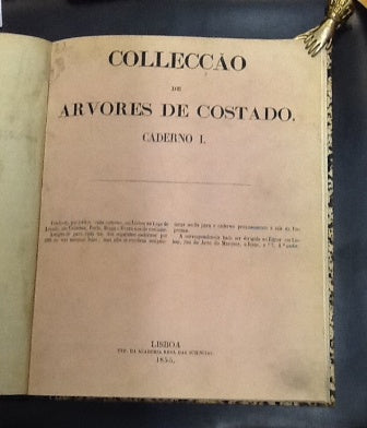 CADERNO I