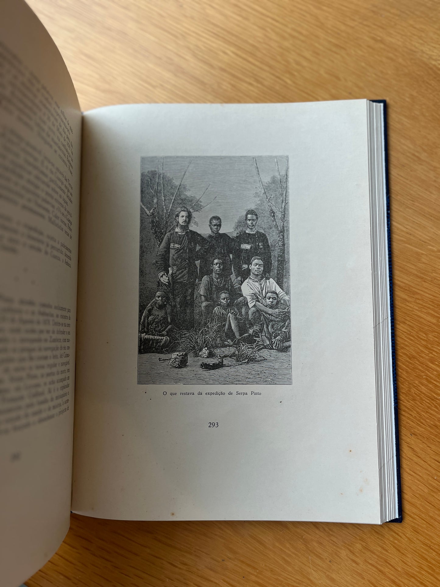 JULGAREIS QUAL É MAIS EXCELENTE