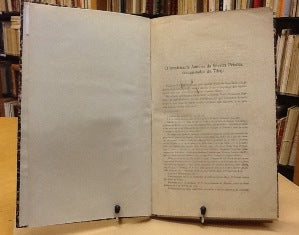 O BANDEIRANTE ANTÓNIO DA SILVEIRA PEIXÔTO, CONQUISTADOR DE TIBAJÍ