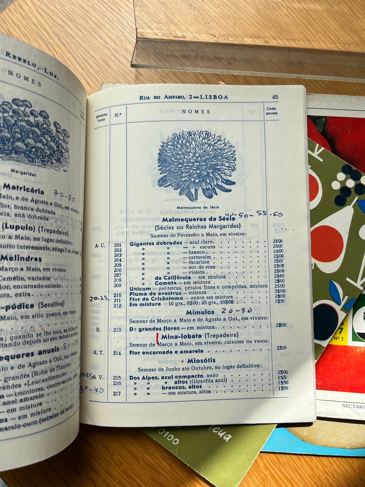LOTE CATÁLOGOS DE VIVEIROS E FRUTA