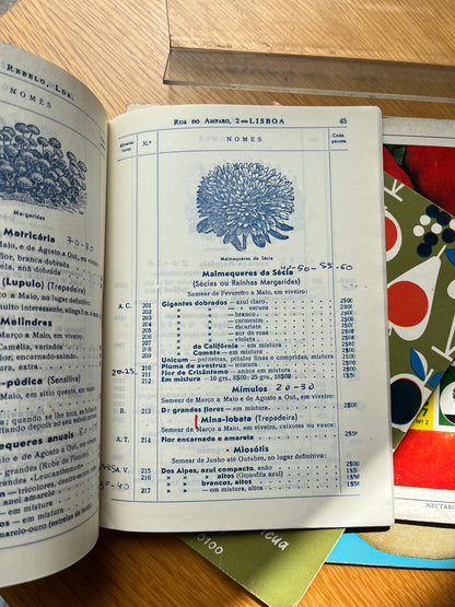 LOTE CATÁLOGOS DE VIVEIROS E FRUTA