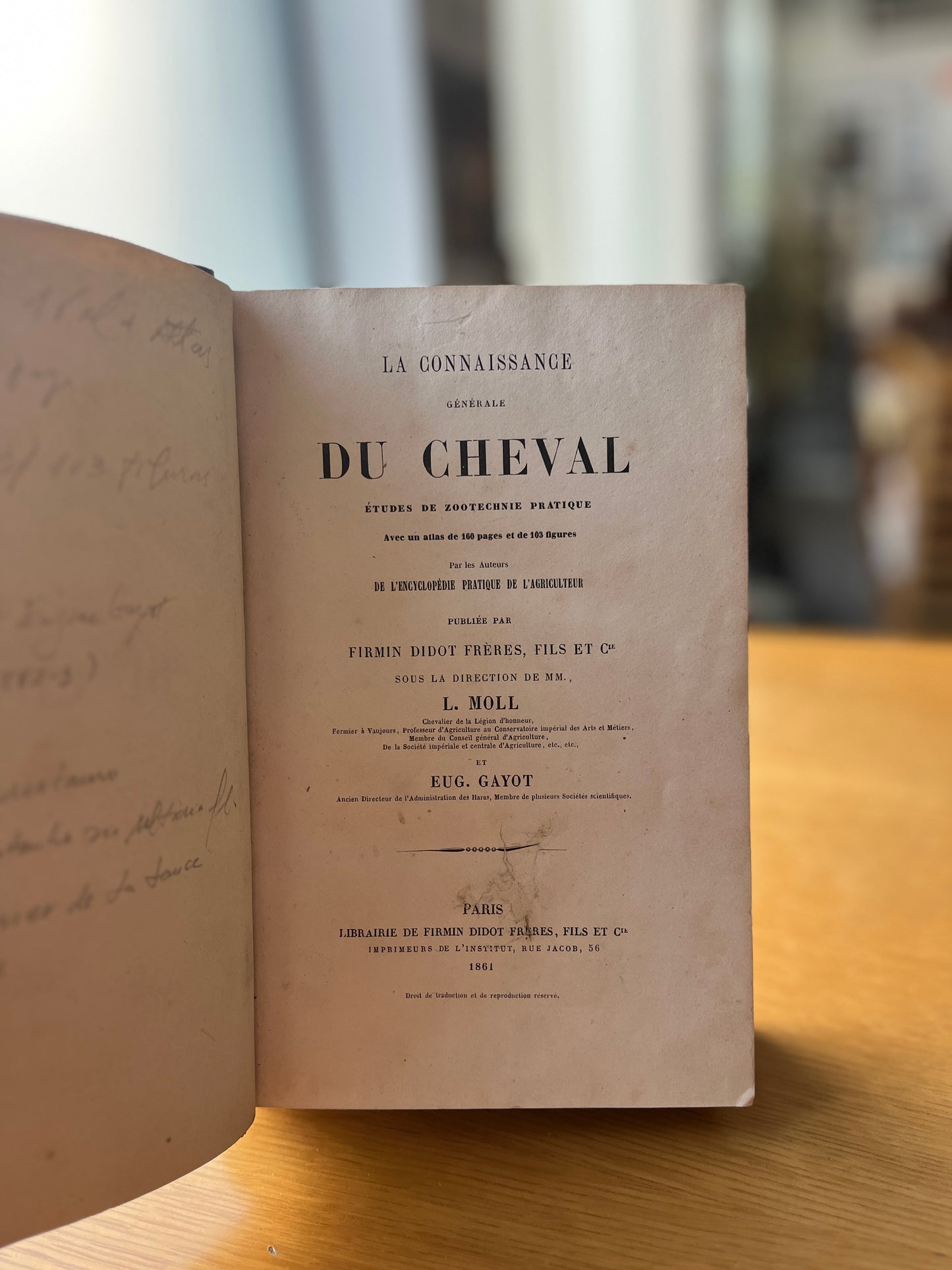 LA CONNAISSANCE GÉNÉRALE DU CHEVAL