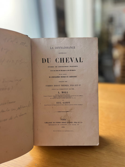 LA CONNAISSANCE GÉNÉRALE DU CHEVAL
