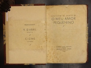 O MEU AMOR PEQUENINO