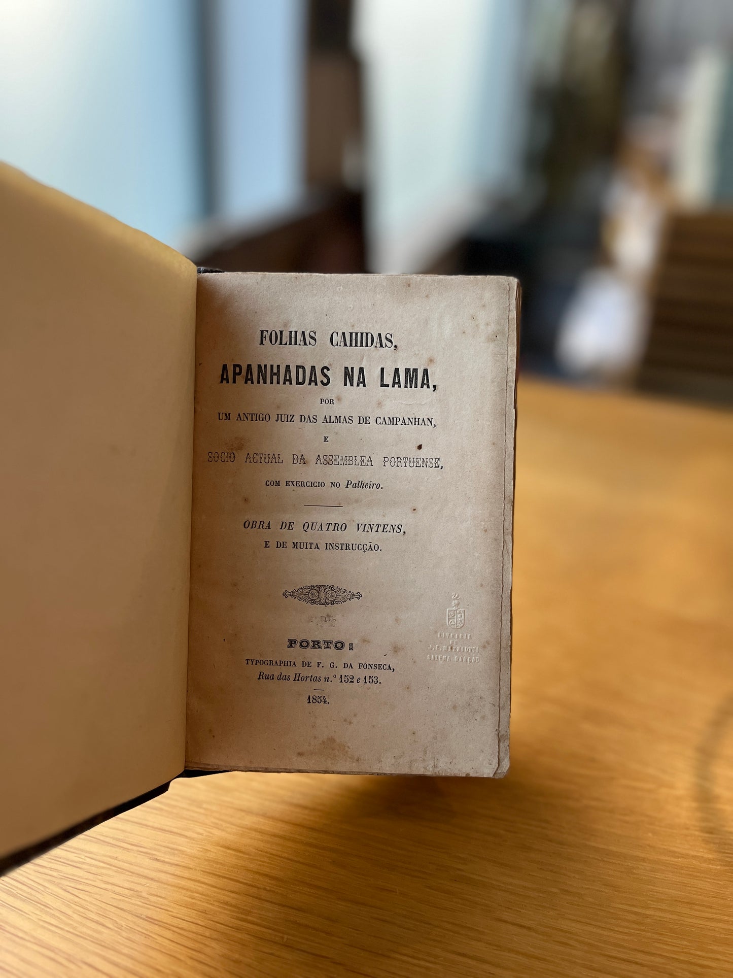 FOLHAS CAHIDAS APANHADAS NA LAMA