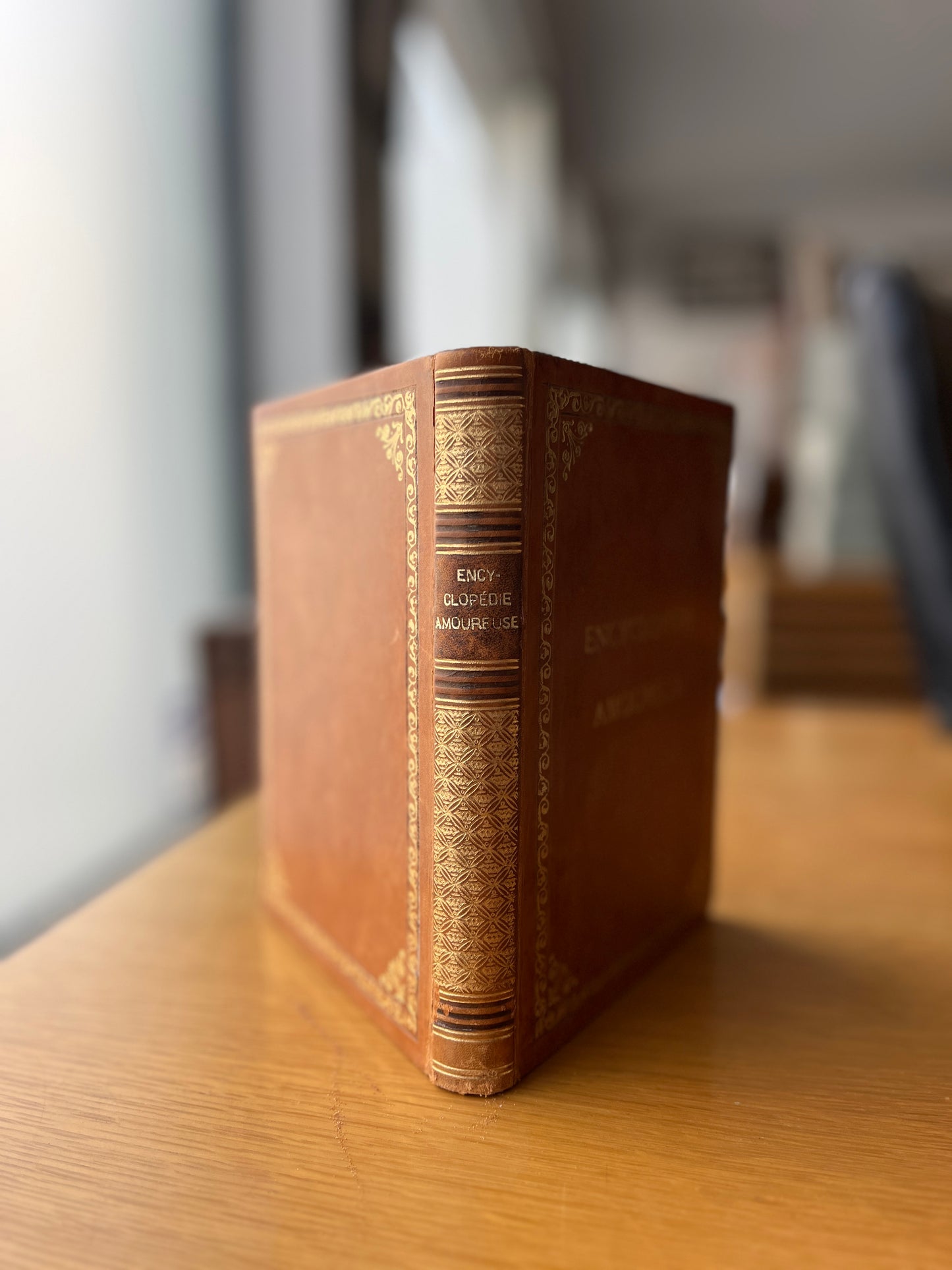 ENCYCLOPÉDIE AMOUREUSE