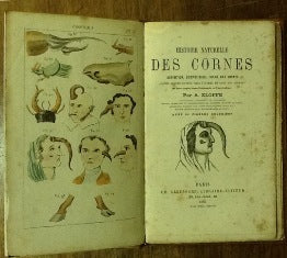 HISTOIRE NATURELLE DES CORNES