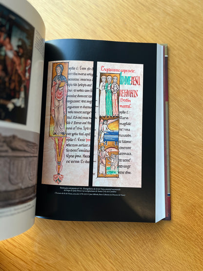 HISTÓRIA DA DIOCESE DE VISEU