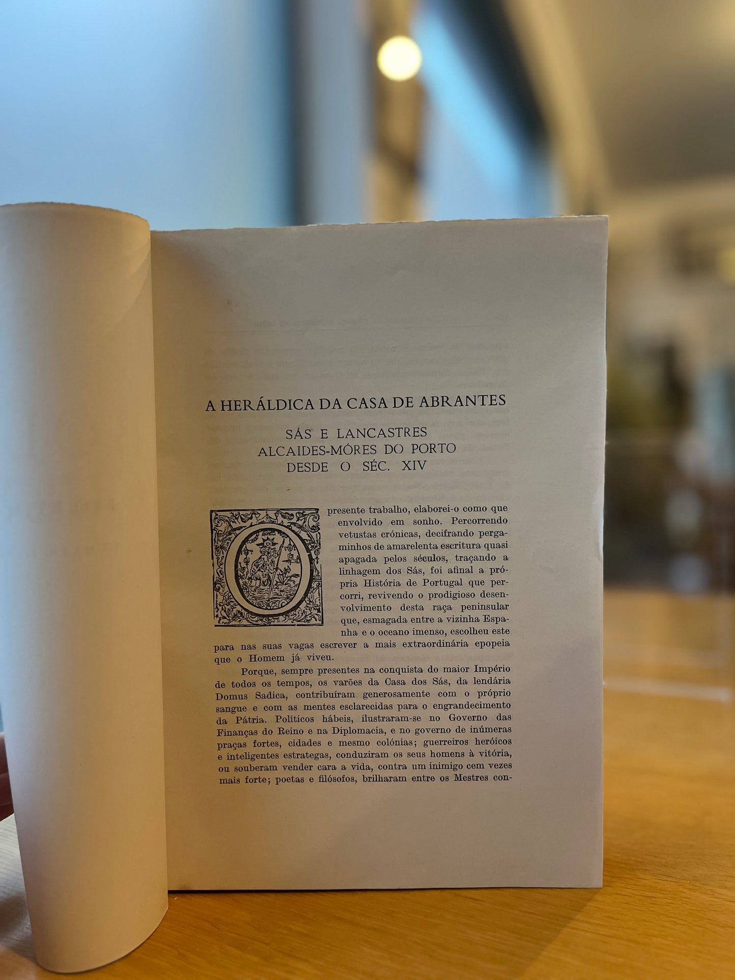 A HERÁLDICA DA CASA DE ABRANTES