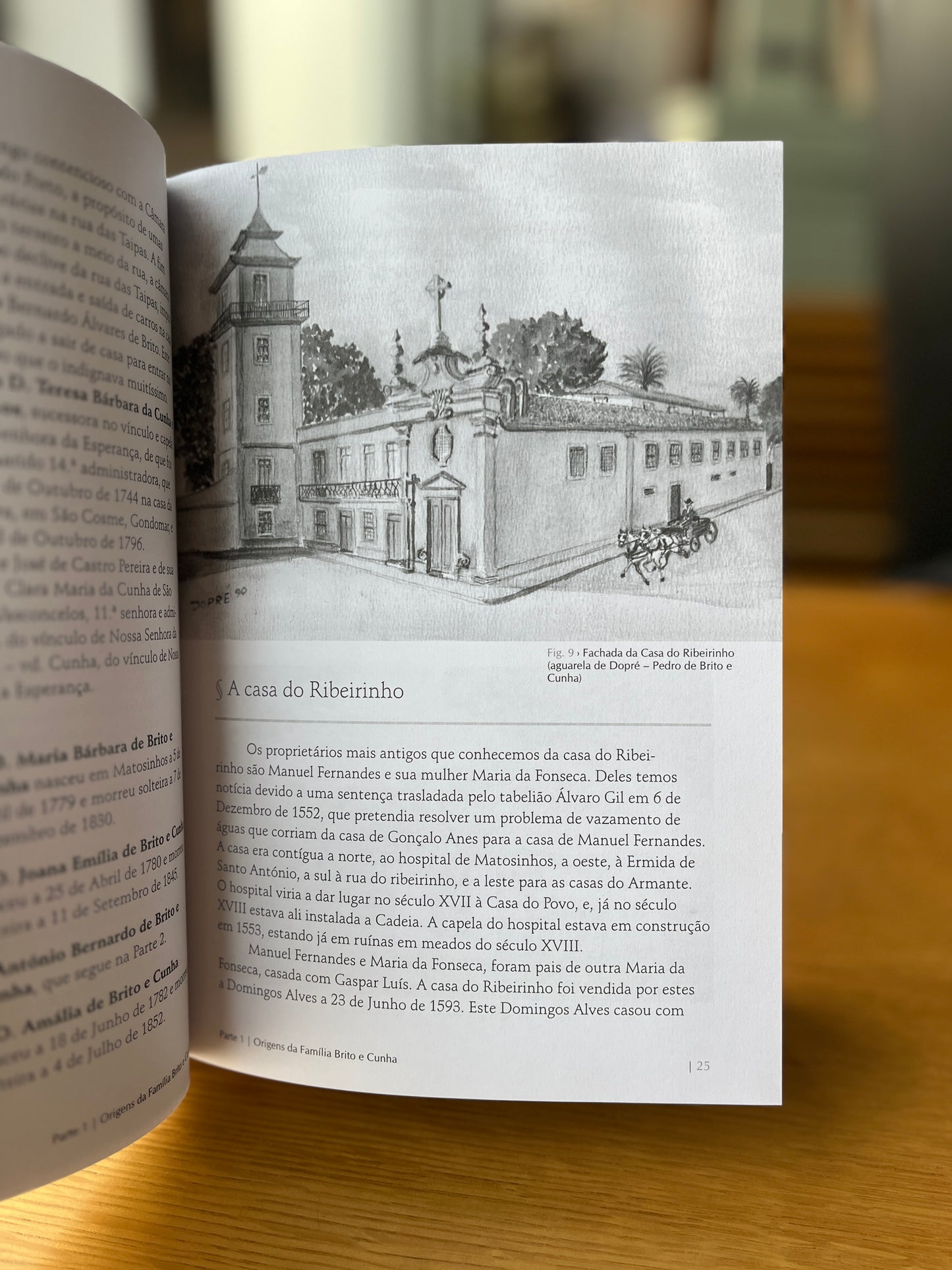 A FAMÍLIA BRITO E CUNHA DE MATOSINHOS