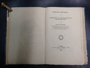 MEMORIA HISTORICA DA VILLA DE BARCELLOS, BARCELLINHOS E VILLA NOVA DE FAMELICÃO