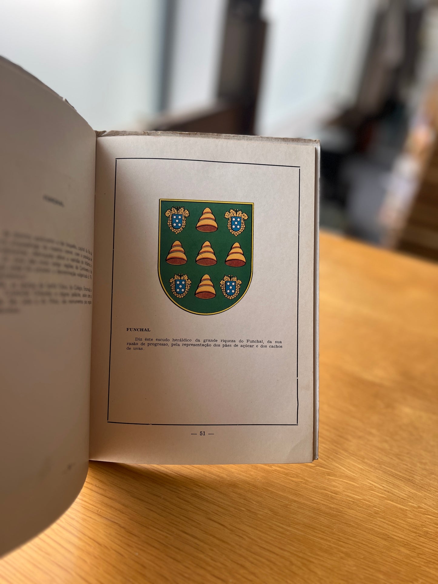 BANDEIRA DE PORTUGAL E SUA EVOLUÇÃO HISTÓRICA