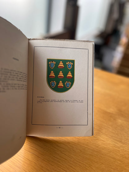 BANDEIRA DE PORTUGAL E SUA EVOLUÇÃO HISTÓRICA