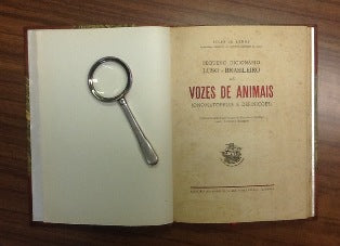 PEQUENO DICIONÁRIO LUSO- BRASILEIRO