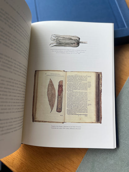 TRATADO DE TORDESILHAS