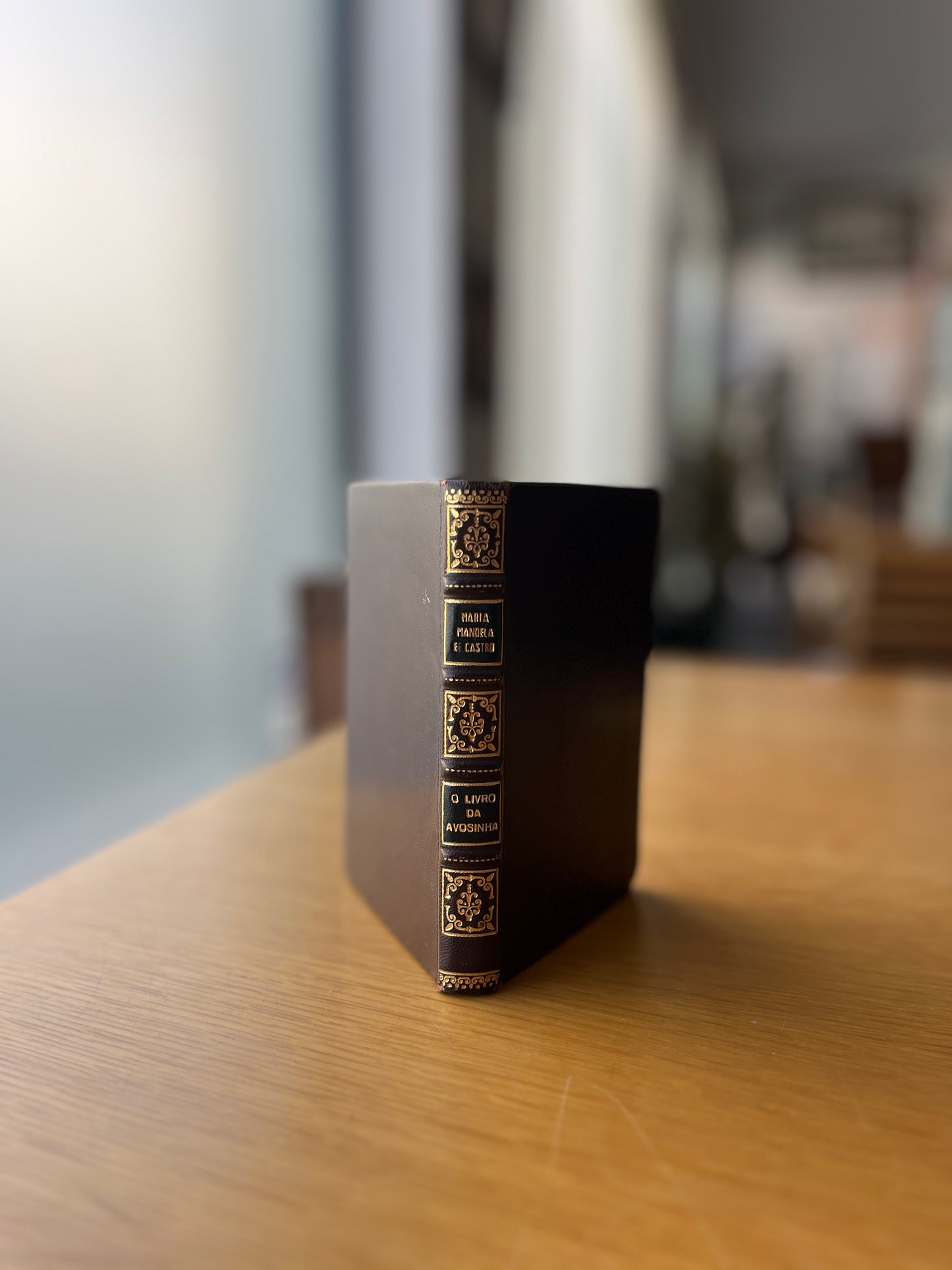 O LIVRO DA AVOSINHA