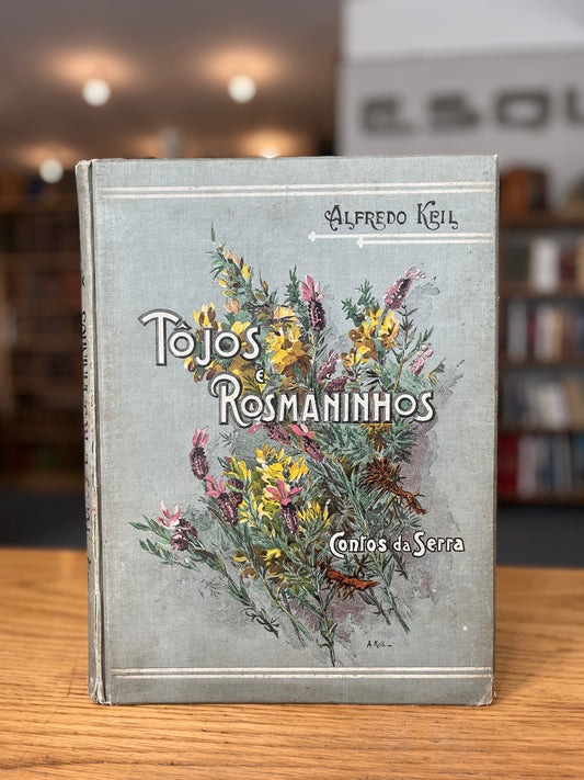 TÔJOS E ROSMANINHOS