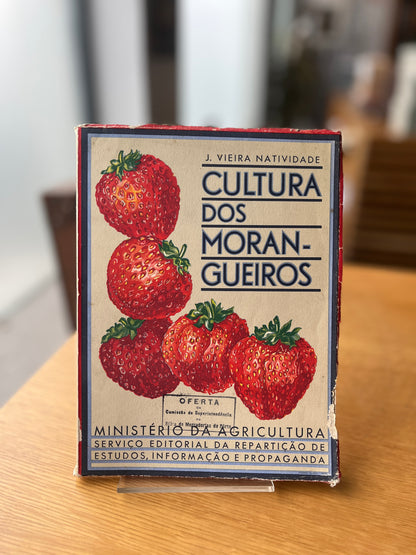 CULTURA DOS MORANGOS
