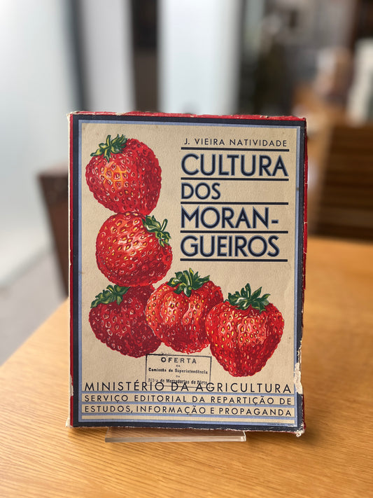 CULTURA DOS MORANGOS