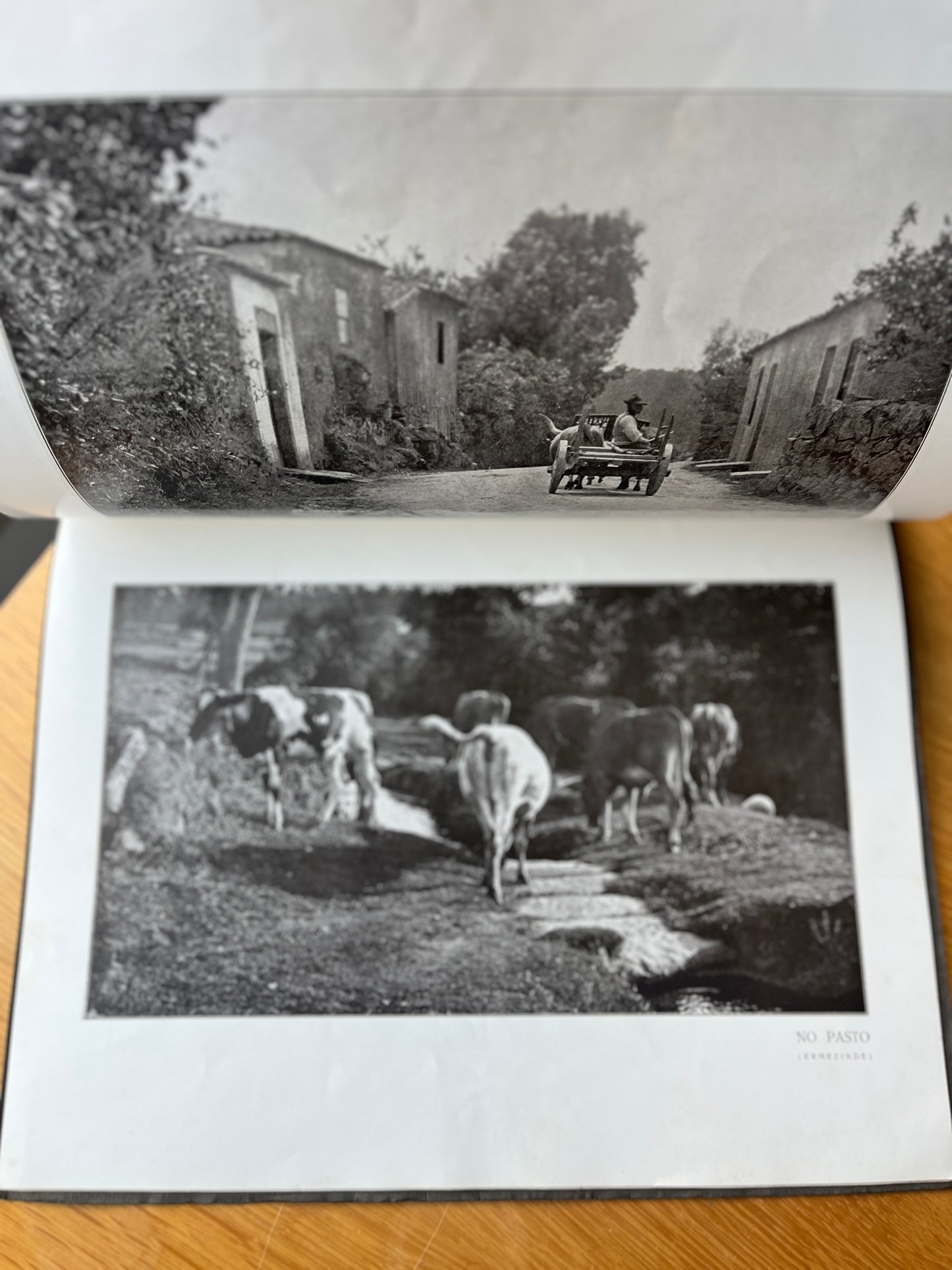 VIDA RÚSTICA, COSTUMES E PAISAGENS