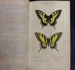 HISTOIRE NATURELLE DES LÉPIDOPTÈRES D`EUROPE