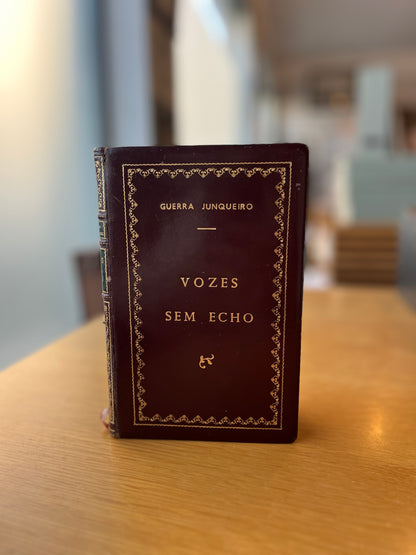 VOZES SEM ECHO