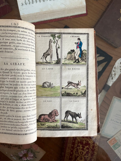 LIVRE DU SECOND AGE, OU INSTRUCTIONS AMUSANTES, SUR L'HISTOIRE NATURELLE DES ANIMAUX, DES VÉGÉTAUX ET DES MINERAUX