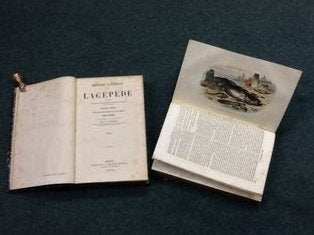 HISTOIRE NATURELLE DE