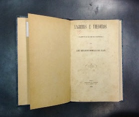 LAGRIMAS E THESOUROS