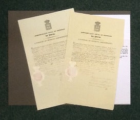 EMANCIPAÇÃO DE MENORES ( ALVARÁS )