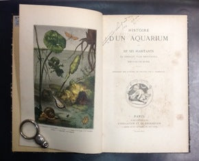 HISTOIRE D`UN AQUARIUM