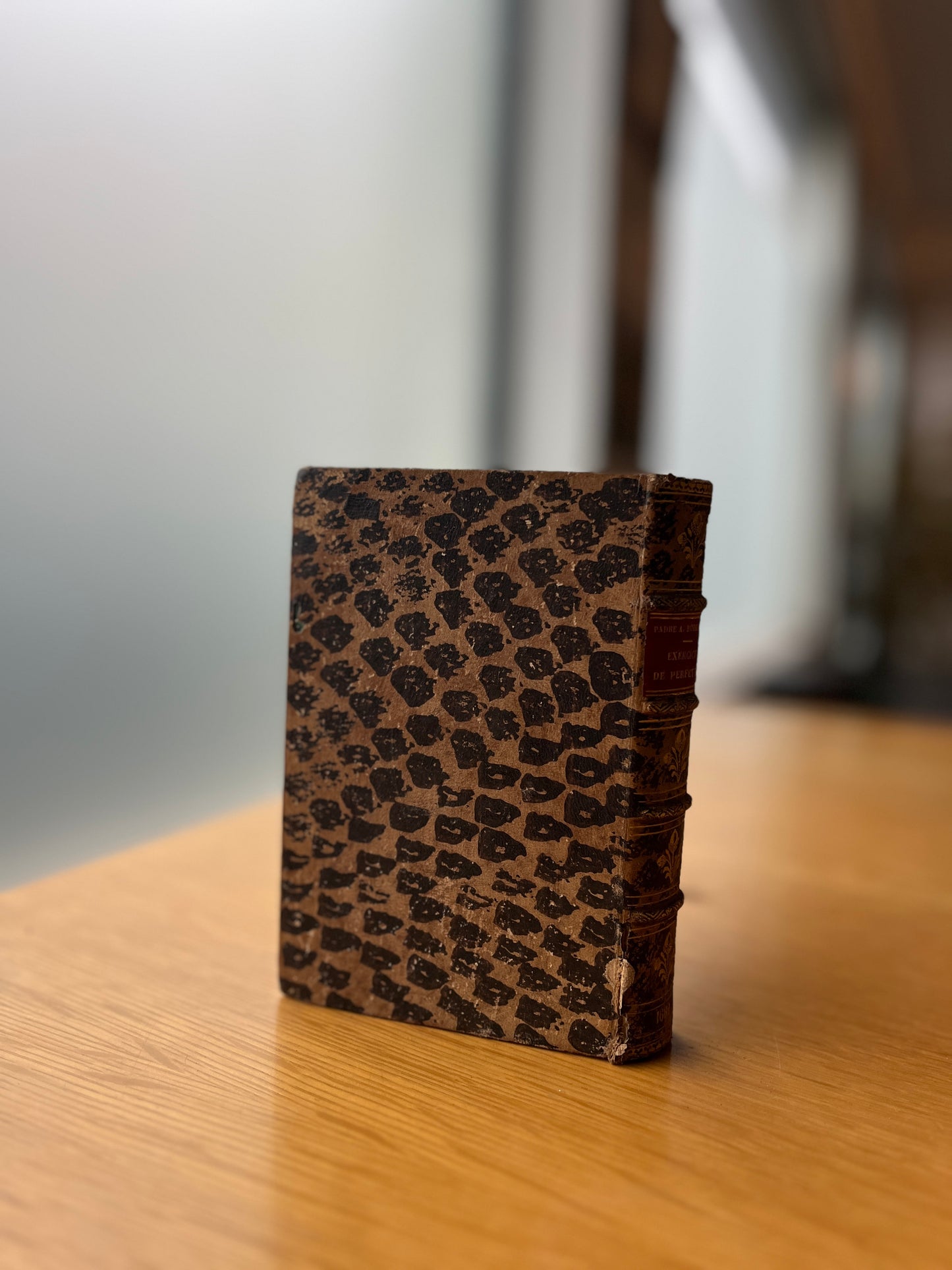 EXERCICIO DE PERFEYÇAM E DOUTRINA ESPIRITUAL