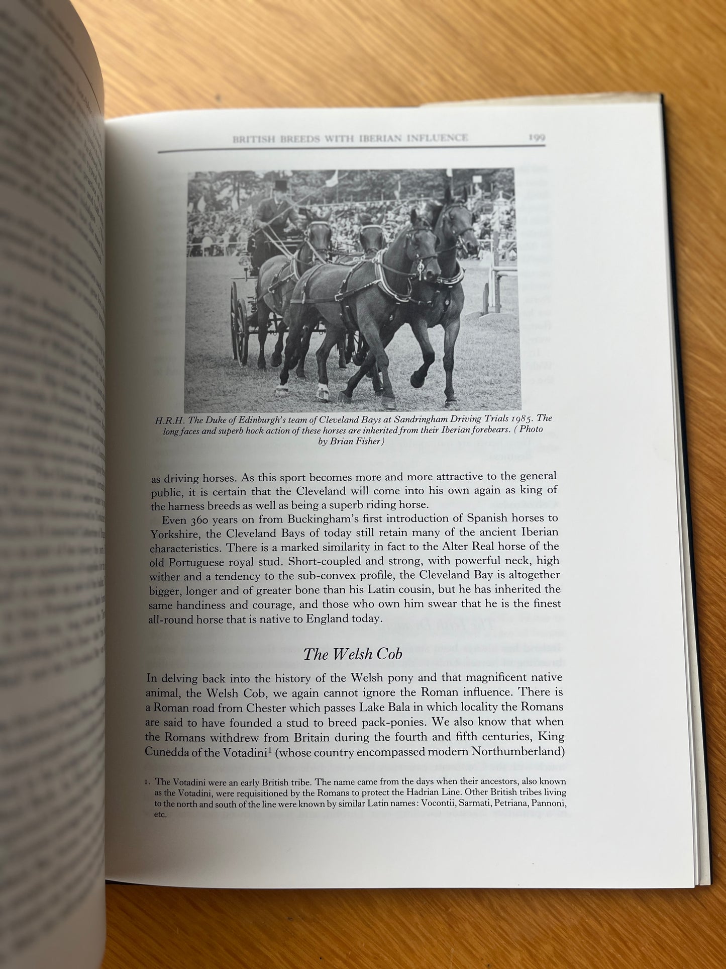 THE ROYAL HORSE OF EUROPE