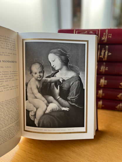 BIBLIA ILUSTRADA, 7 VOL.