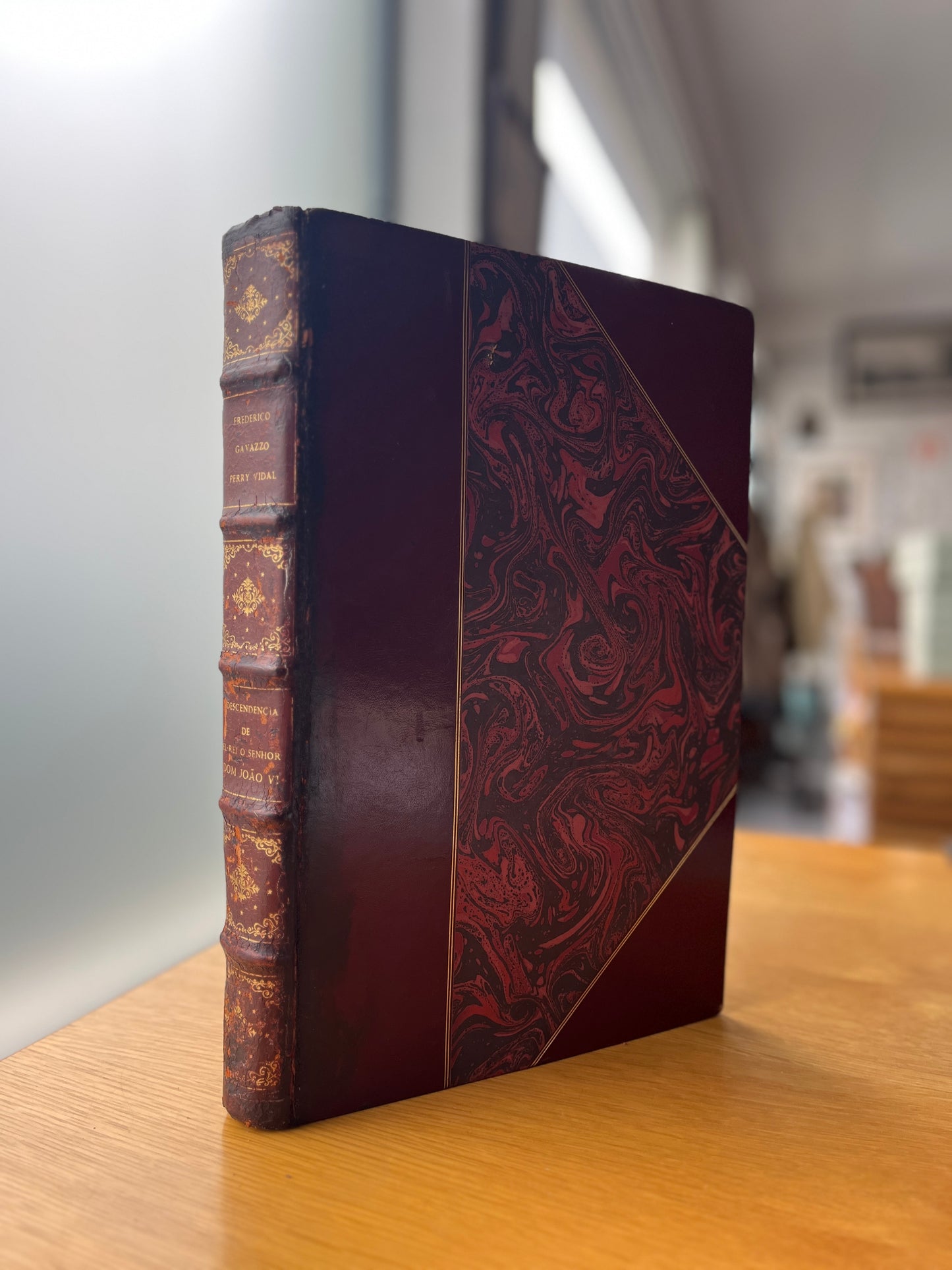 DESCENDENCIA DE S. M. EL-REI O SENHOR D. JOÃO VI