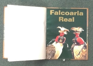 EXPOSIÇÃO TEMPORÁRIA REALIZADA NO MUSEU NACIONAL DOS COCHES,