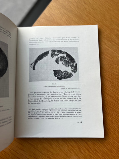 A PRÉ-HISTÓRIA ULTRAMARINA PORTUGUESA