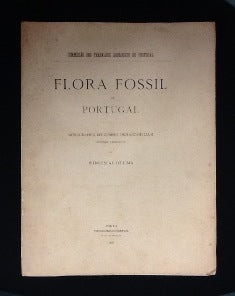 FLORA FOSSIL DE PORTUGAL