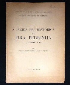 A JAZIDA PRÉ- HISTÓRICA DE EIRA PEDRINHA