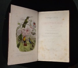 LETTRES A JULIE SUR L´ORNITHOLOGIE